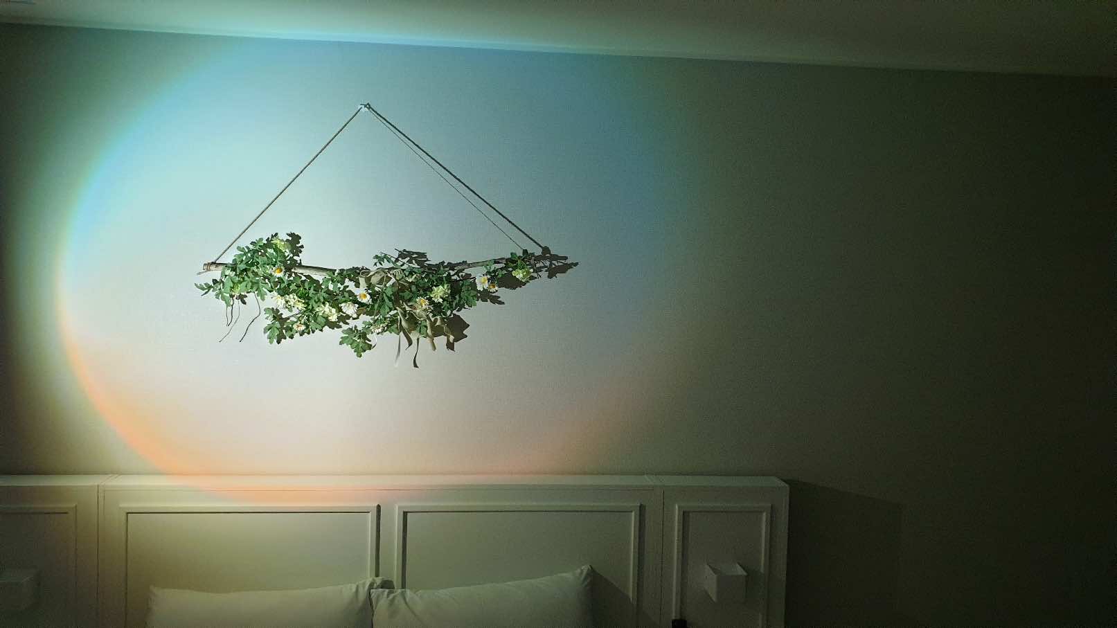 Room Type